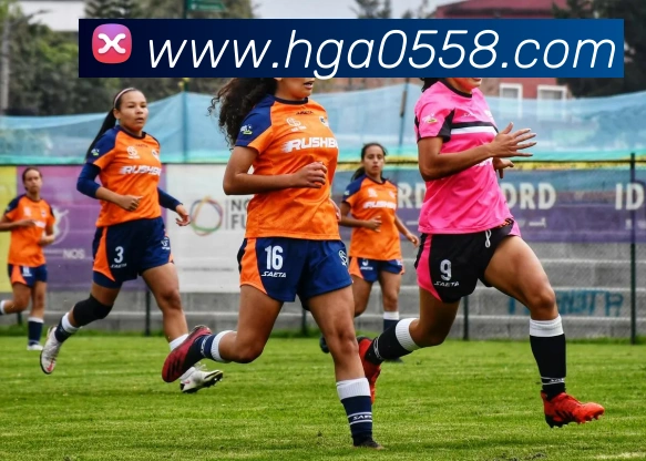 奖项证书